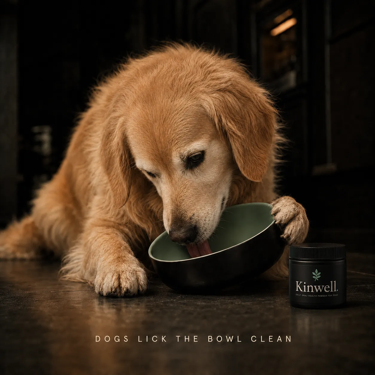 Happy dog licking its dinner bowl completely clean beside the Kinwell jar; dogs lick the bowl clean