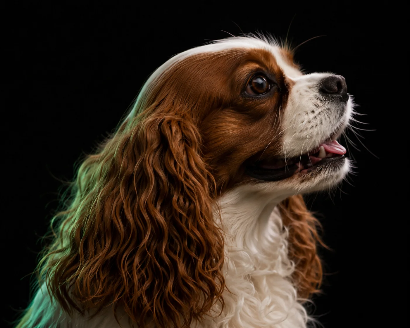 Close-up of a relaxed, happy dog with clean teeth and healthy gums
