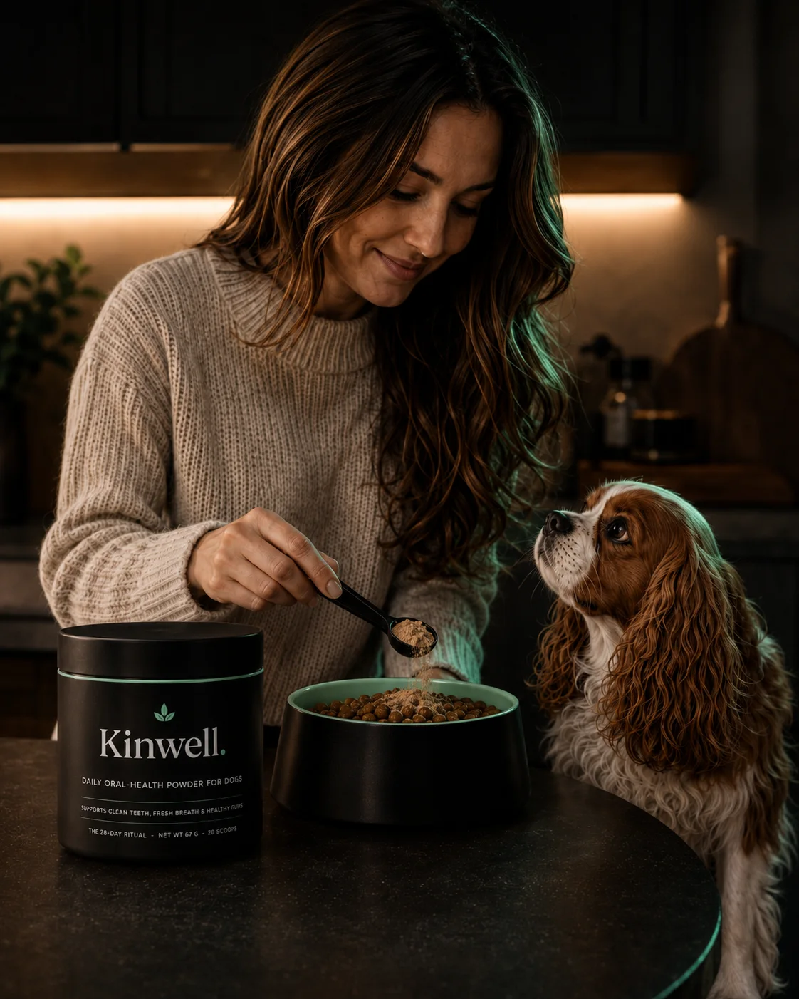 Owner stirring Kinwell powder into her dog's dinner in an evening kitchen while her Cavalier looks up