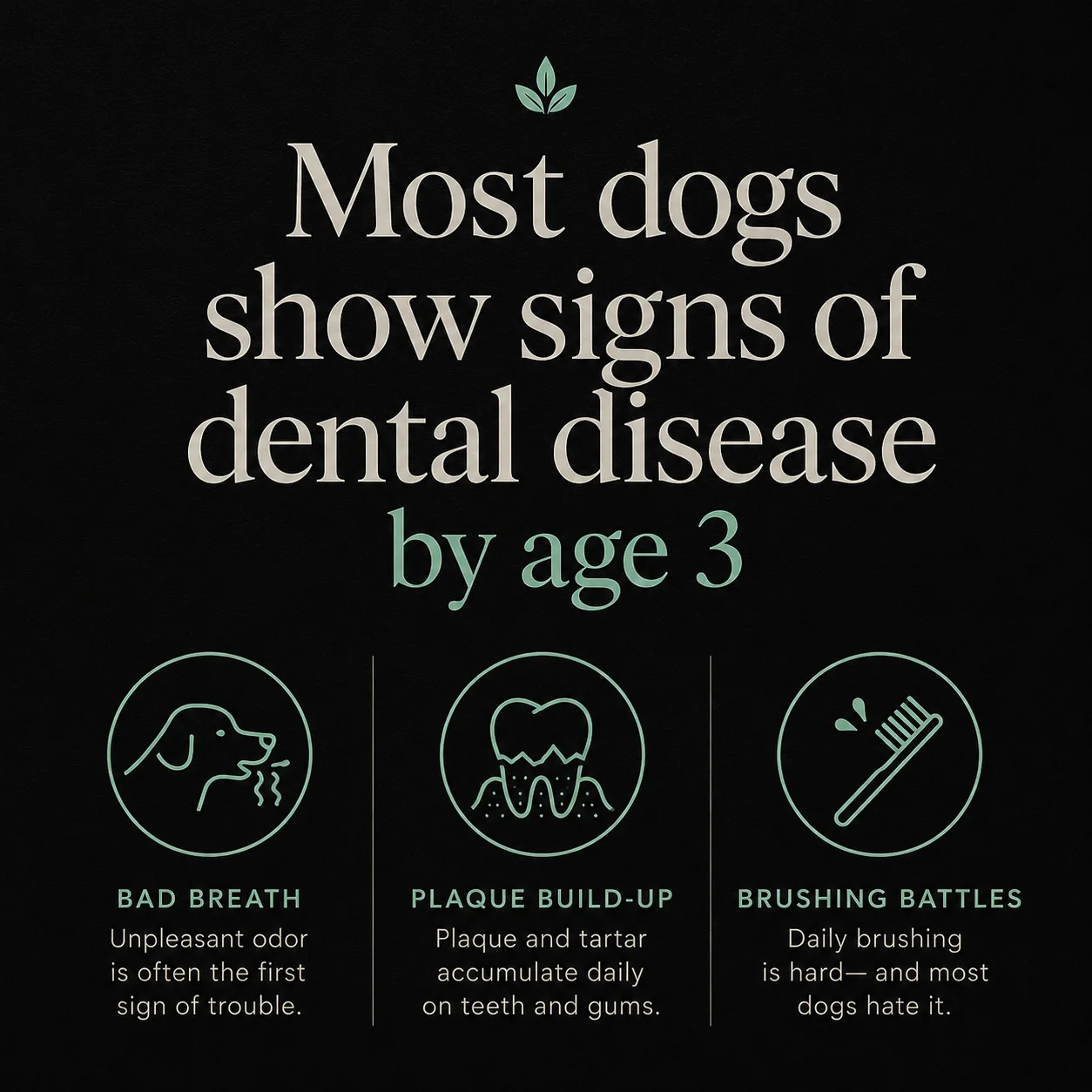 Most dogs show signs of dental disease by age 3 — bad breath, plaque build-up, brushing battles
